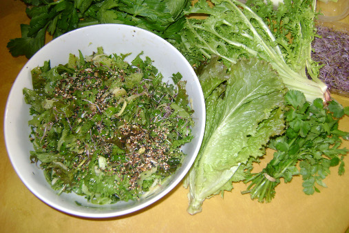 Salada rica Primaveril